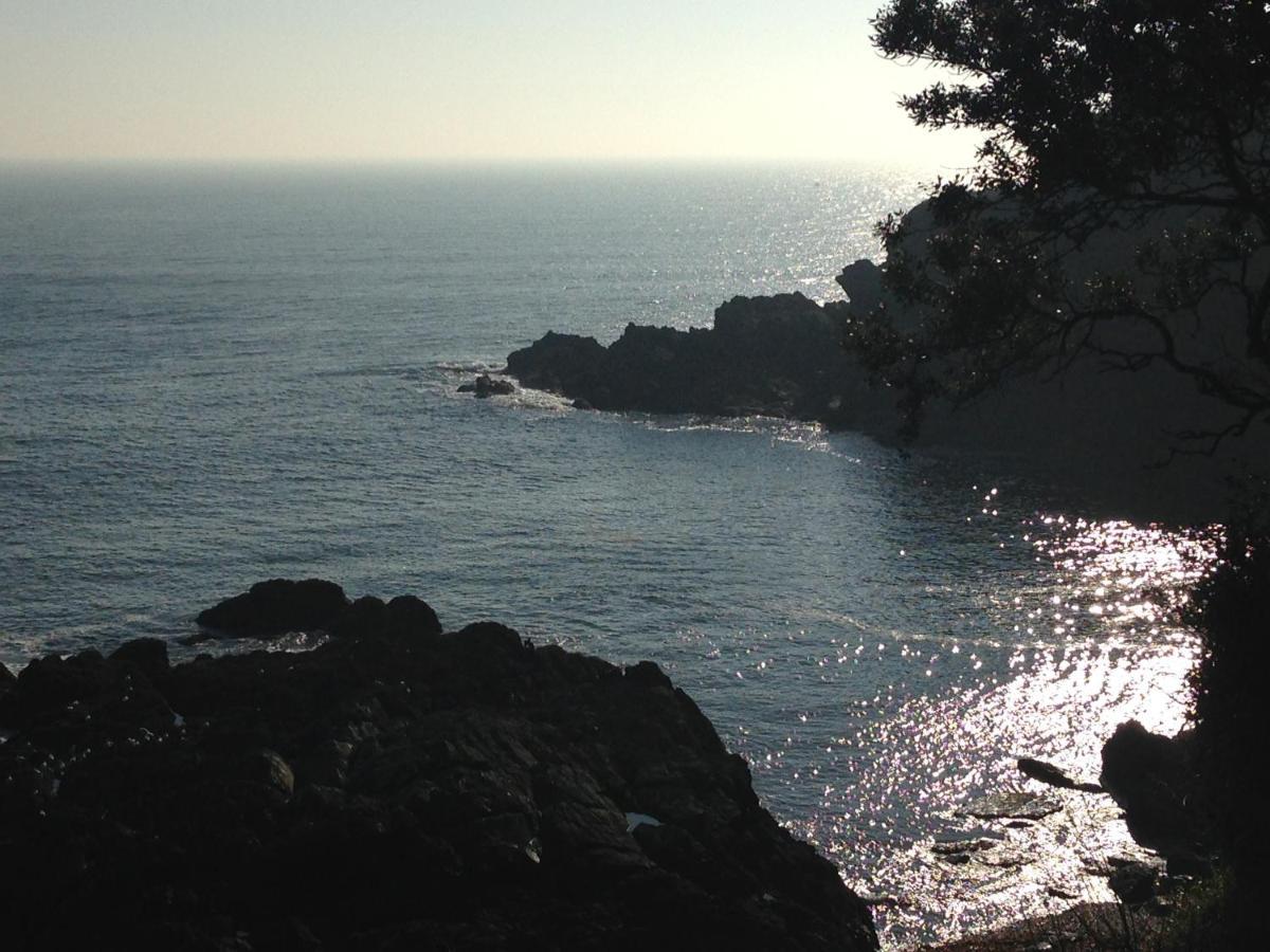 Bay View, Millendreth Looe Cornwall Villa Dış mekan fotoğraf